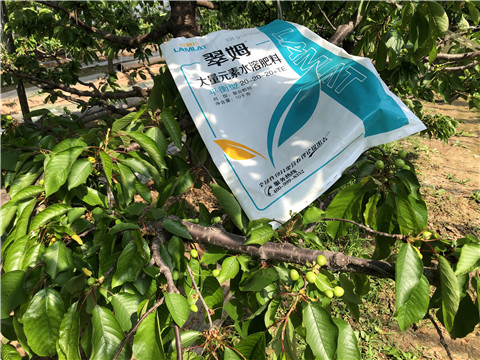 大量元素水溶肥，磷酸二氫鉀，硼肥
