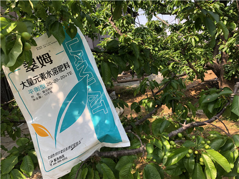 大量元素水溶肥，磷酸二氫鉀，硼肥