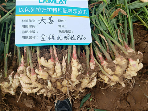 水溶肥，微生物菌劑，拉姆拉
