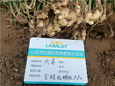 水溶肥，微生物菌劑，拉姆拉