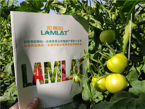 微生物菌劑，拉姆拉，伯示麥