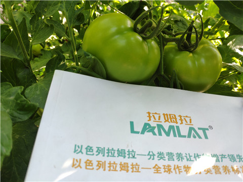 微生物菌劑，拉姆拉，伯示麥