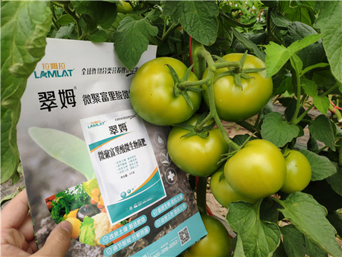 葉面肥，微生物菌劑，磷酸二氫鉀