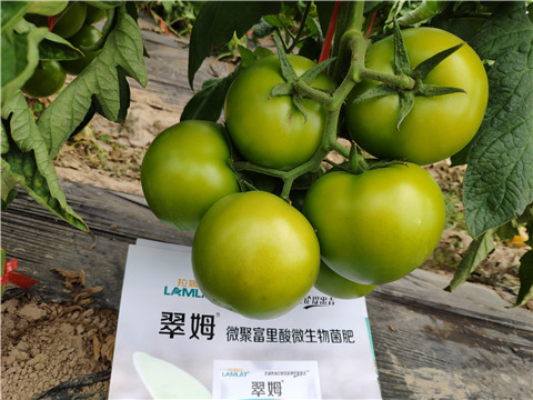 葉面肥，微生物菌劑，磷酸二氫鉀