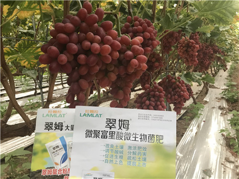 微生物菌劑，硼肥，鈣肥