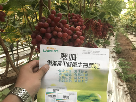 微生物菌劑，硼肥，鈣肥