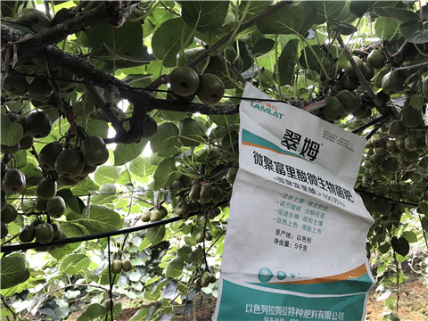 微生物菌劑，翠姆，拉姆拉