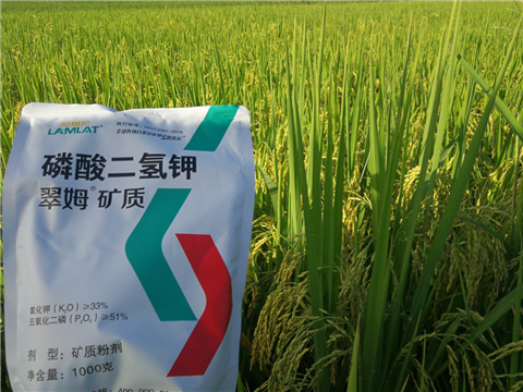 葉面肥，水稻灌漿肥，拉姆拉