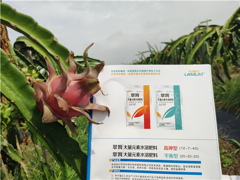 進口水溶肥，拉姆拉，翠姆